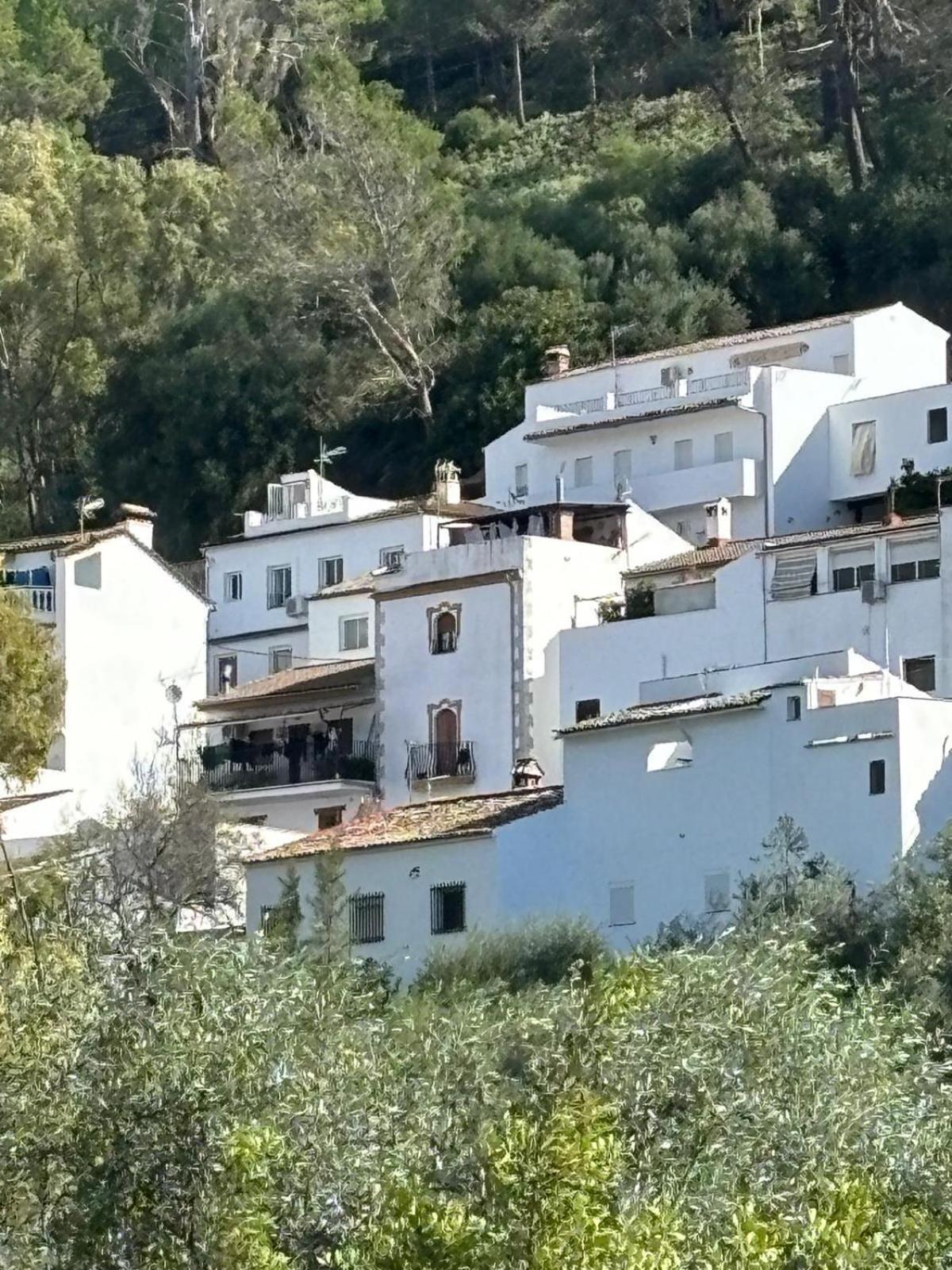 El Rincon De Las Higueras El Bosque Dış mekan fotoğraf