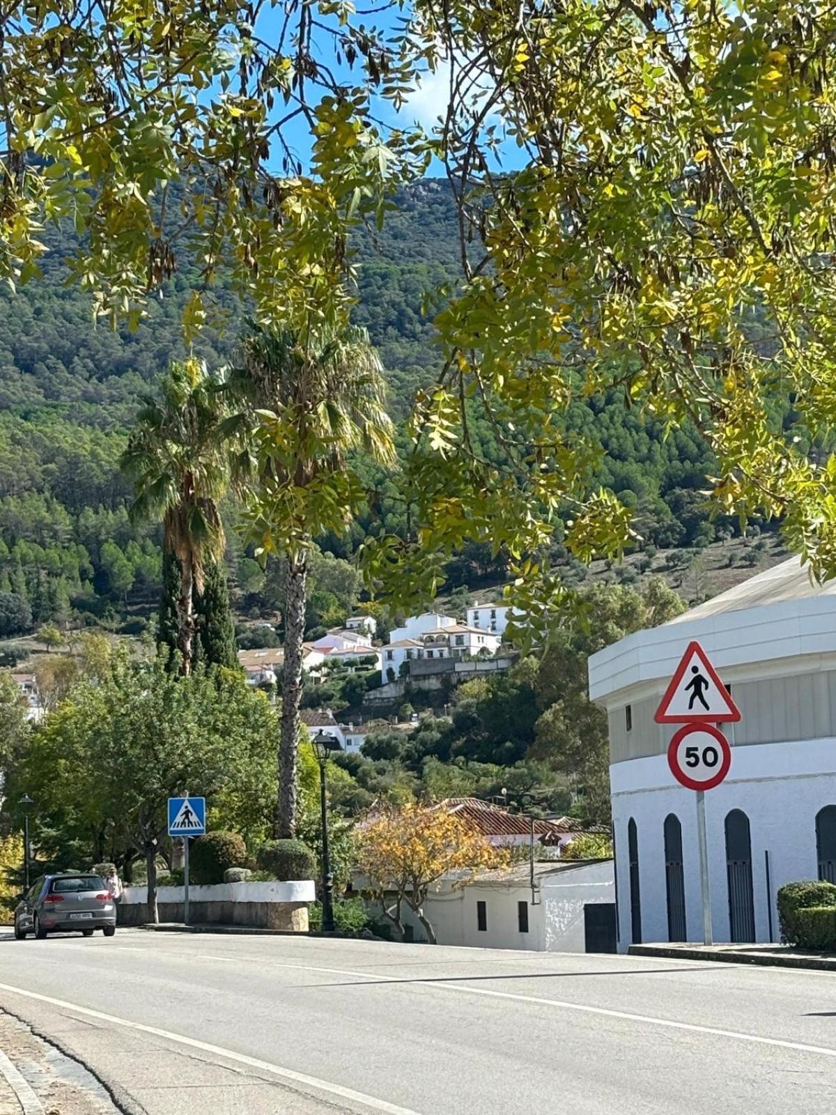 El Rincon De Las Higueras El Bosque Dış mekan fotoğraf