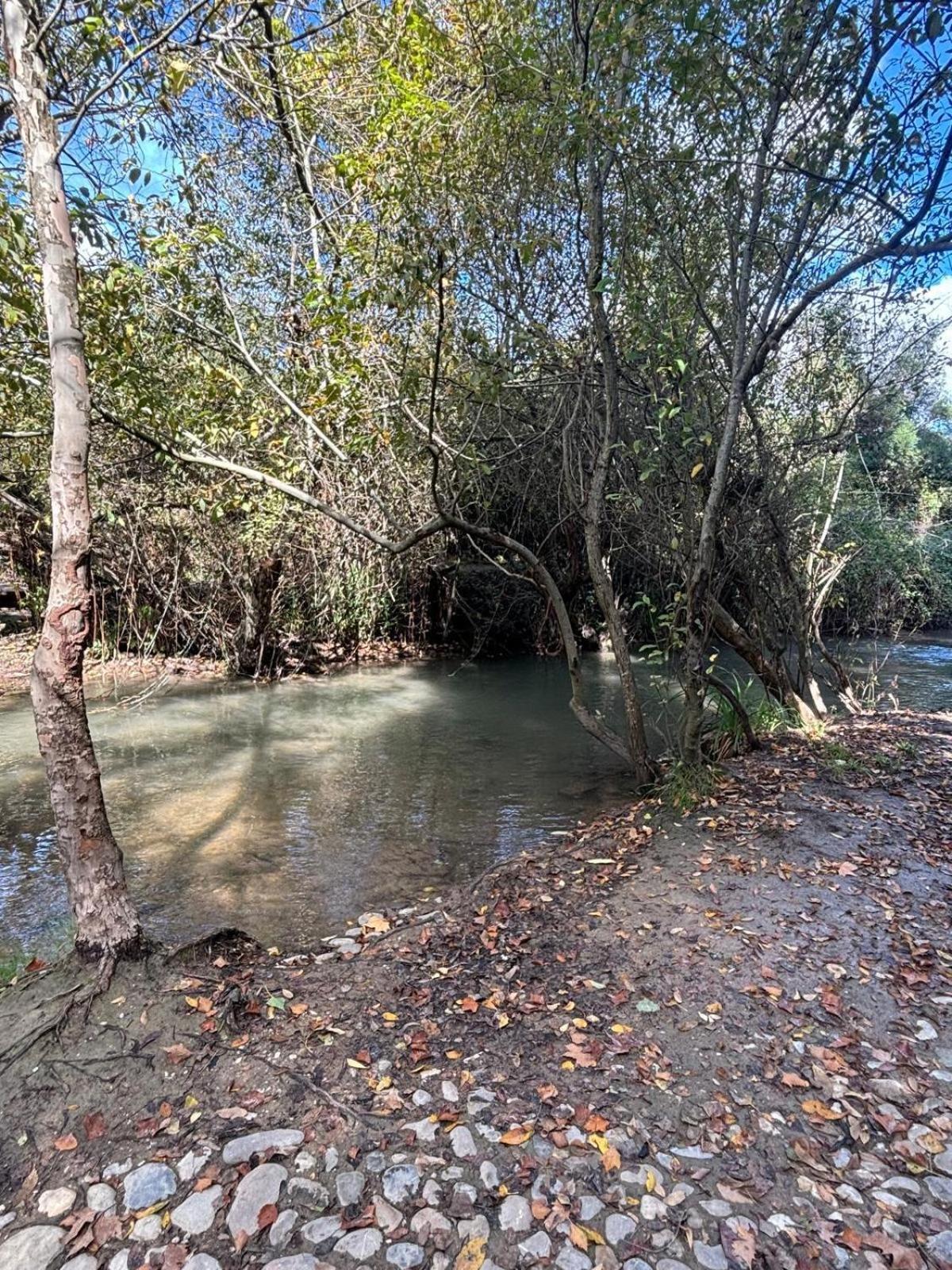 El Rincon De Las Higueras El Bosque Dış mekan fotoğraf