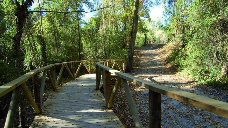 El Rincon De Las Higueras El Bosque Dış mekan fotoğraf