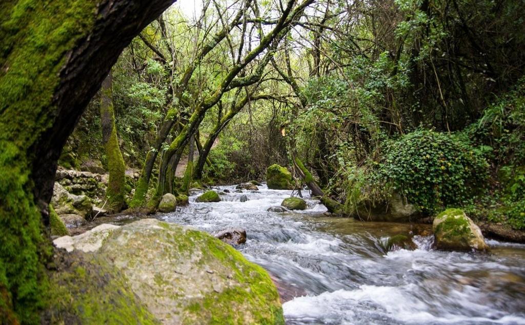 El Rincon De Las Higueras El Bosque Dış mekan fotoğraf